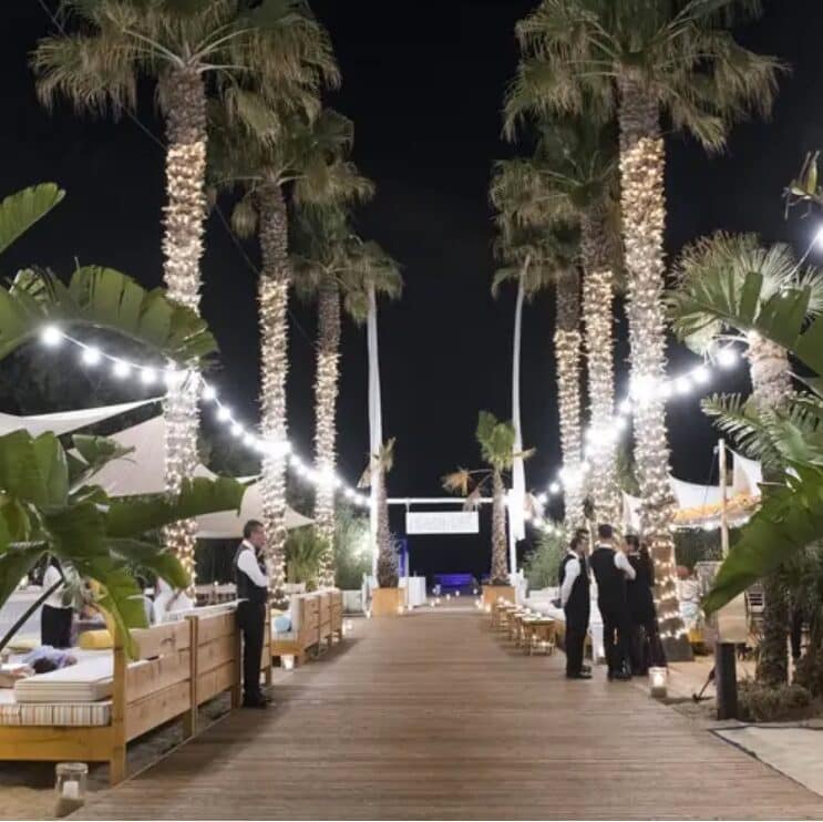 Beach club with tall palm trees at night.